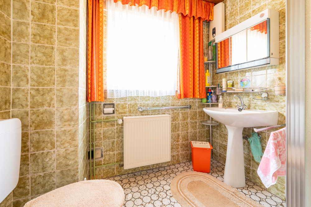 Gäste-WC mit Dusche im Erdgeschoss