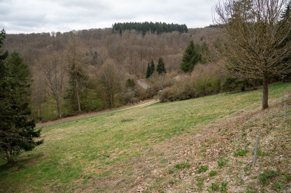zum Anwesen gehörende Wiesenfläche
