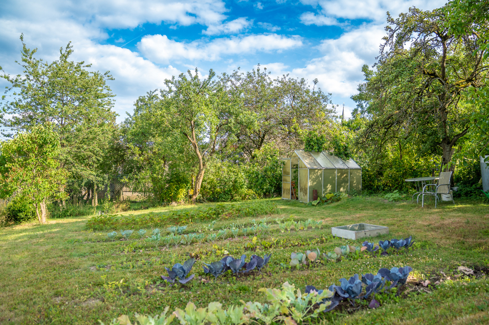 Nutzgarten mit Gewächshaus