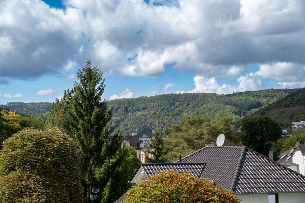 Weitblick über die Dächer von Bad Ems