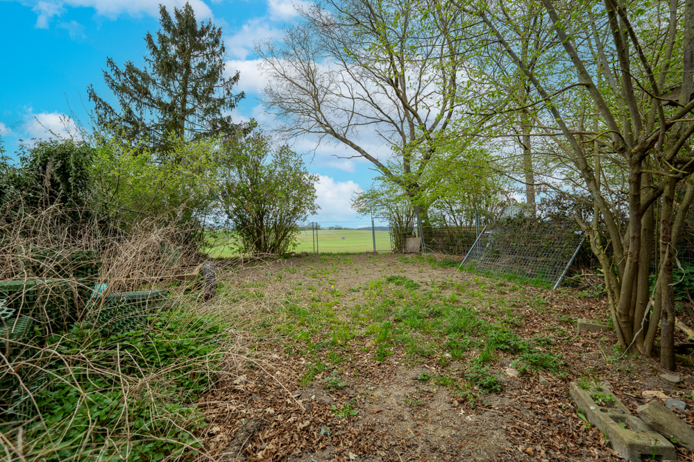 Wiesenstück hinter der Scheune