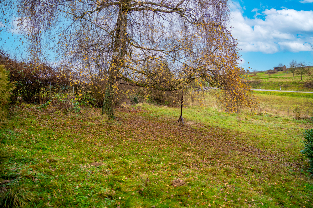 Schöne Ortsrandlage