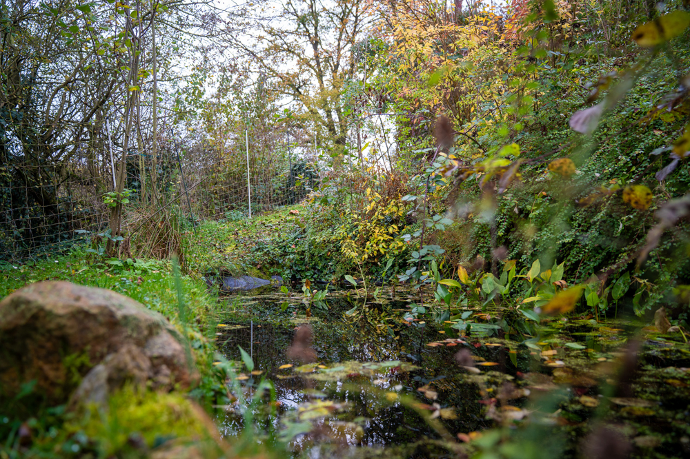 Mehr Idylle geht nicht