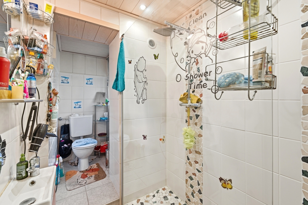 Duschbad Erdgeschoss