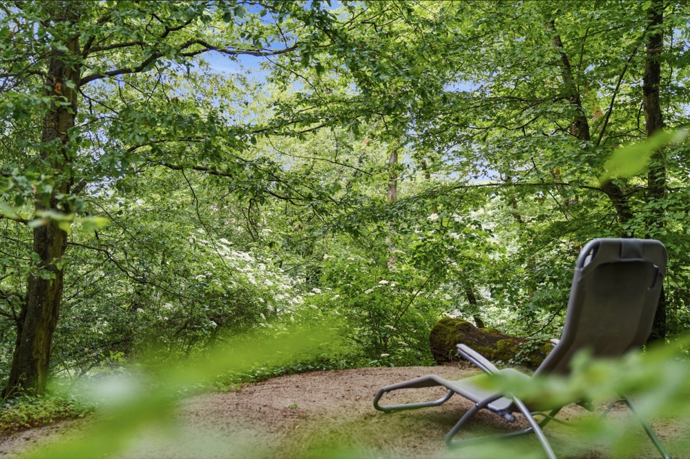 Waldgeflüster