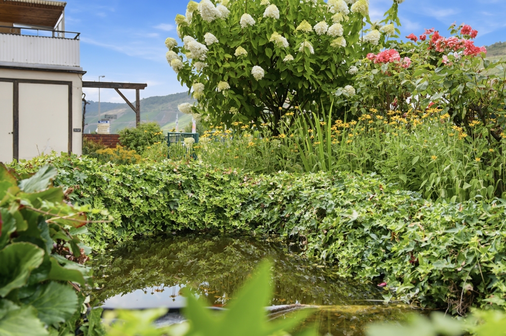 Blumenrabatte mit Teich