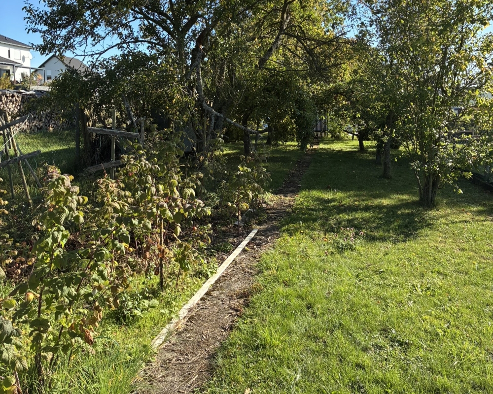 Garten mit Bäumen