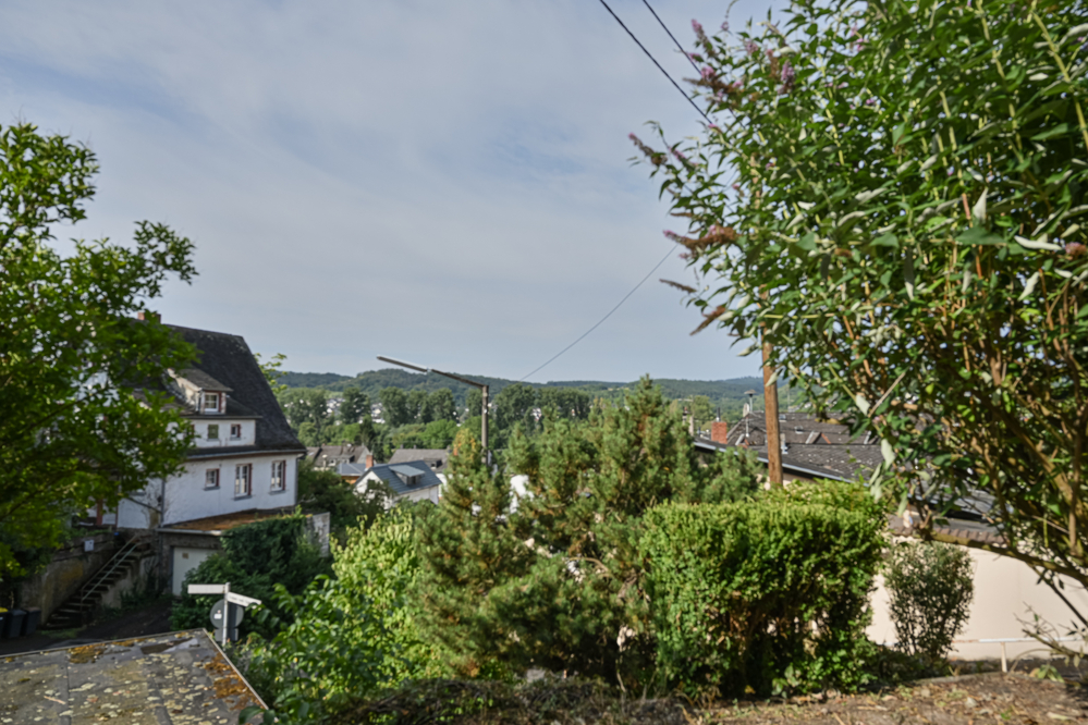 Blick über Braubach