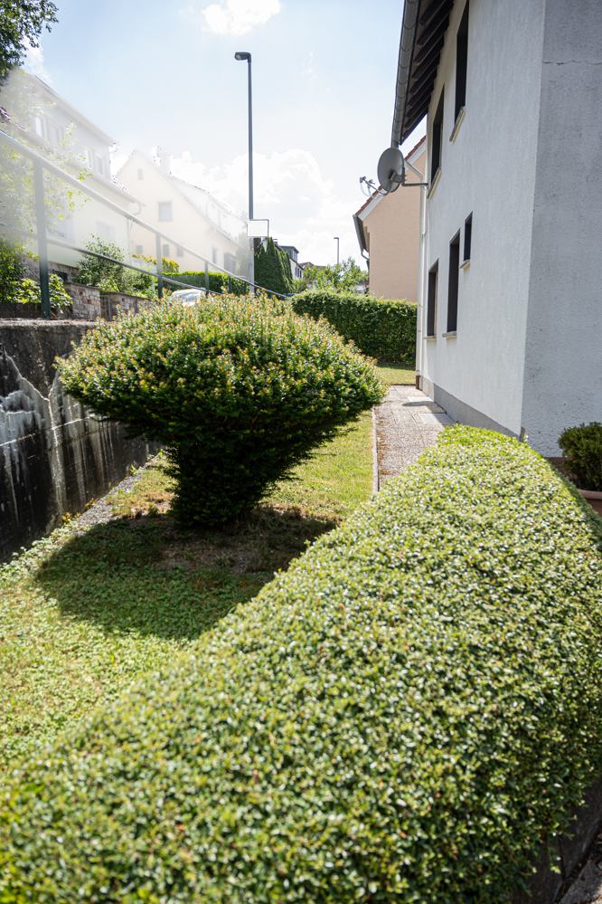 Gartenfläche