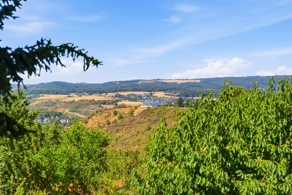 Blick vom Grundstück