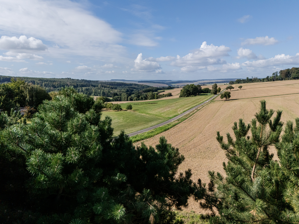 Fernblick